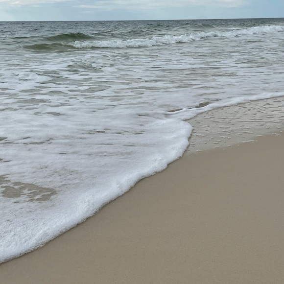 Meet your Posher, Jaiden - Picture 1 of 1